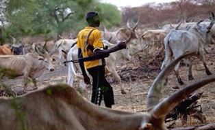 Armed Fulani herdsman