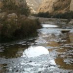 South Africa Eats Humble Jewish Pie Photo: Charles Gardner