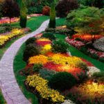 Lilt: The Joy of Beauty