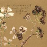 Theo-Poetics: Beauty in the Midst of Brutality