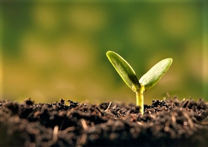 Carol Round on Plant a Seed and Watch God Make It Grow