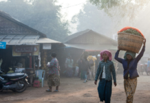 Millions at risk of starvation in Myanmar/Burma