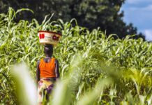 Islamic terrorists kill 23 Christian farmers, abduct 18