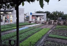 Vietnam: Power cut to home holding Catholic mass, three arrested