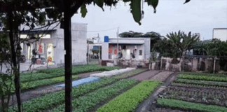 Vietnam: Power cut to home holding Catholic mass, three arrested