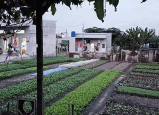 Vietnam: Power cut to home holding Catholic mass, three arrested